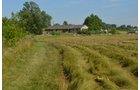 Property photo 13 - REAL ESTATE AUCTION - 26+/- ACRES IN 3 TRACTS IN SOUTHWEST ALLEN COUNTY, INDIANA